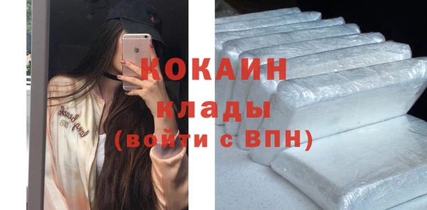прущие грибы Новодвинск