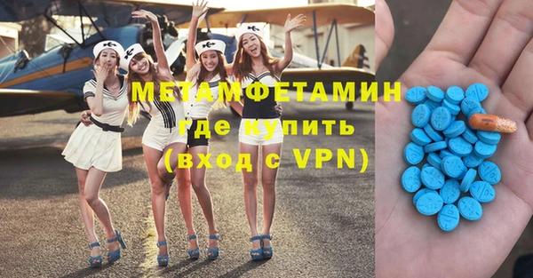 прущие грибы Новодвинск
