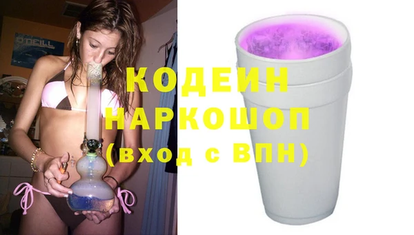 прущие грибы Новодвинск