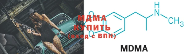 прущие грибы Новодвинск