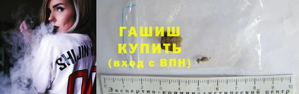 прущие грибы Новодвинск