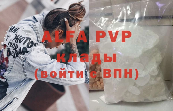 прущие грибы Новодвинск