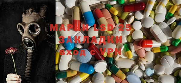 прущие грибы Новодвинск
