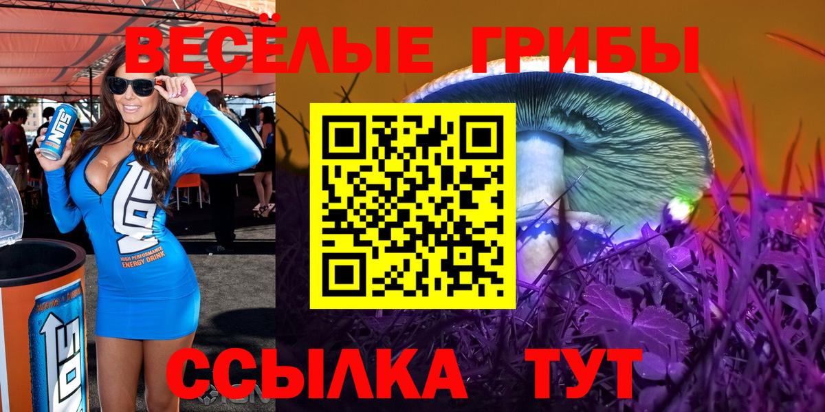 Великие Луки  Псилоцибиновые грибы ЛСД  Вход с VPN 